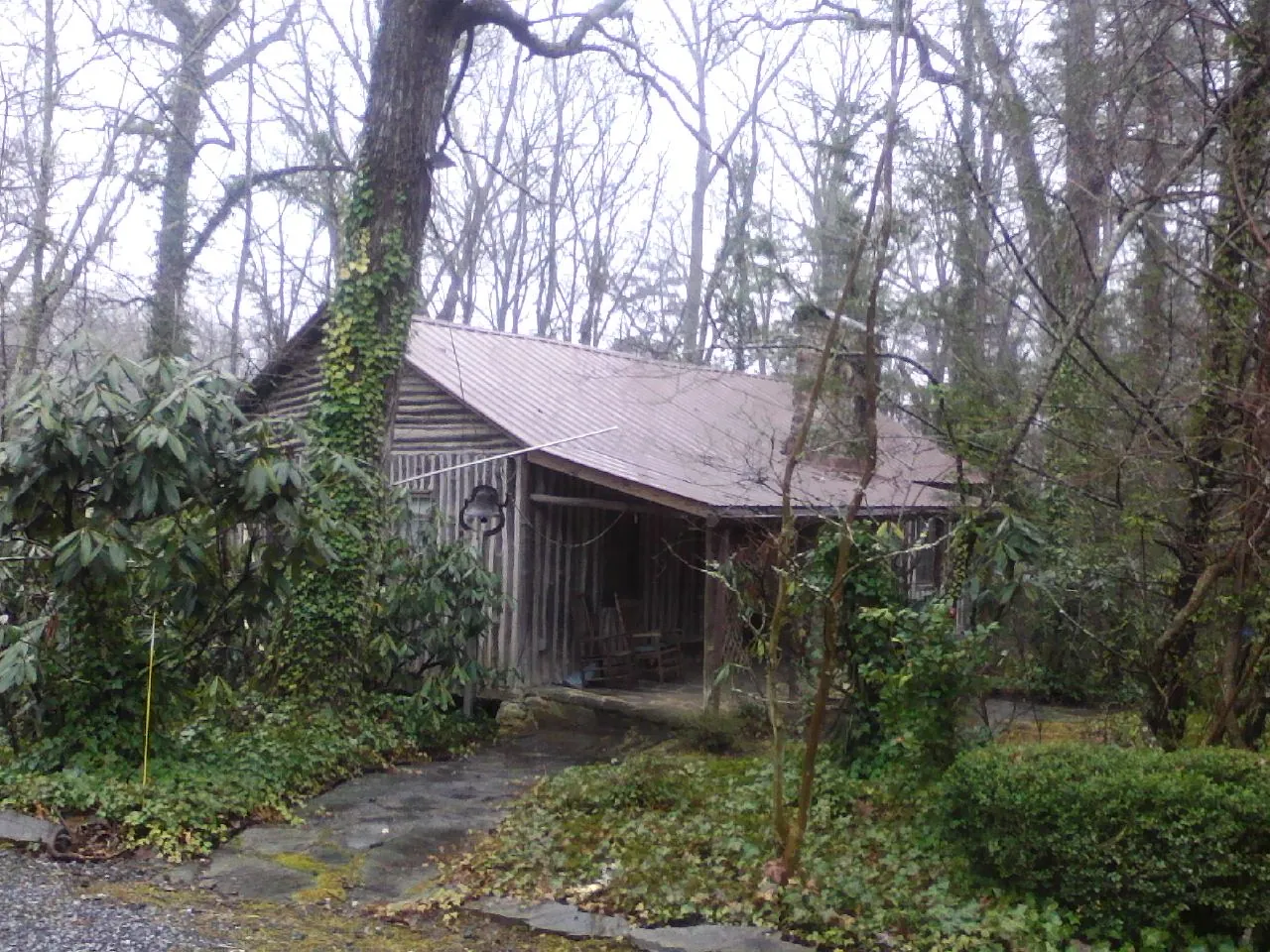 Weathered metal roof on an old board sided cabin in the woods in Rivesville