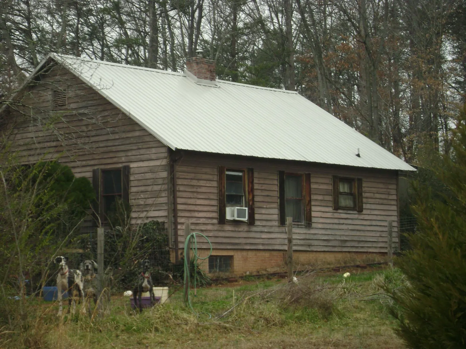 White metal roof on an old wood sided farmhouse, from a Asphalt Shingle Roof Repair job in Rivesville